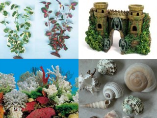 Aquarium Decorations