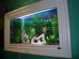 Wall Mounted Aquarium