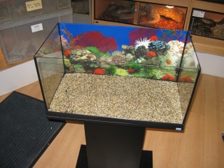 Placing Backing On Aquarium