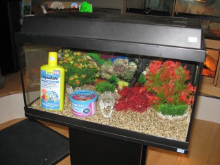 Fitting An Aquarium Hood