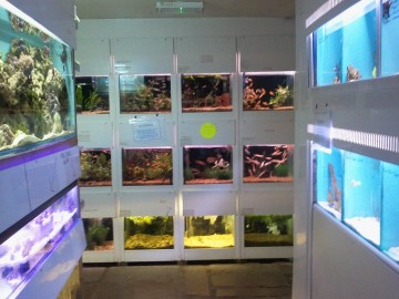 Eastbourne Aquarium And Reptile Centre Basement