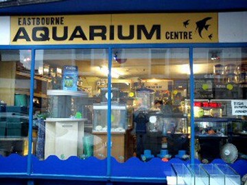 Eastbourne Aquarium And Reptile Centre_Shop Front