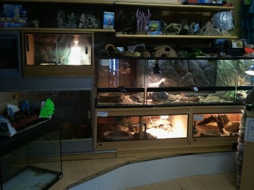 Eastbourne Aquarium And Reptile Top Floor