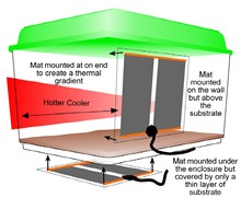 vivarium heat pad