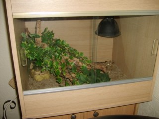 Vivarium